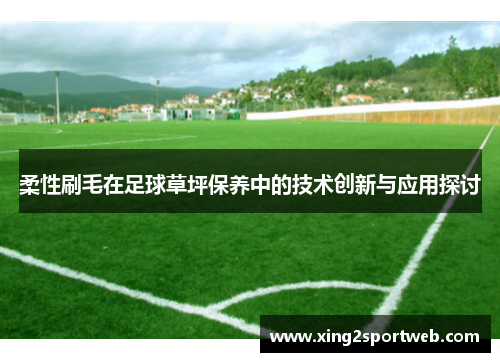 柔性刷毛在足球草坪保养中的技术创新与应用探讨